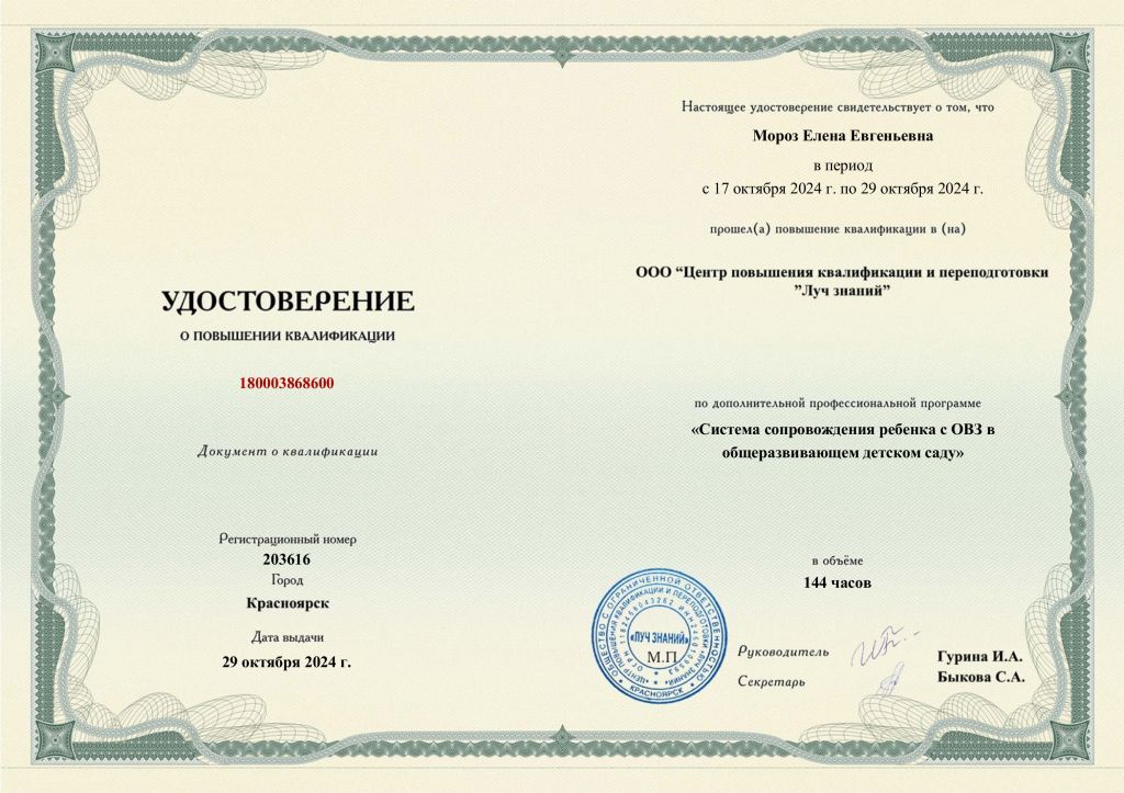 Система сопровождения ребенка с ОВЗ в общеразвивающем детском саду_page-0001.jpg